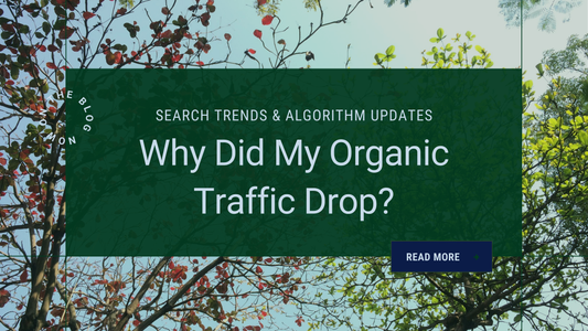 How External Factors Influence Organic Traffic
